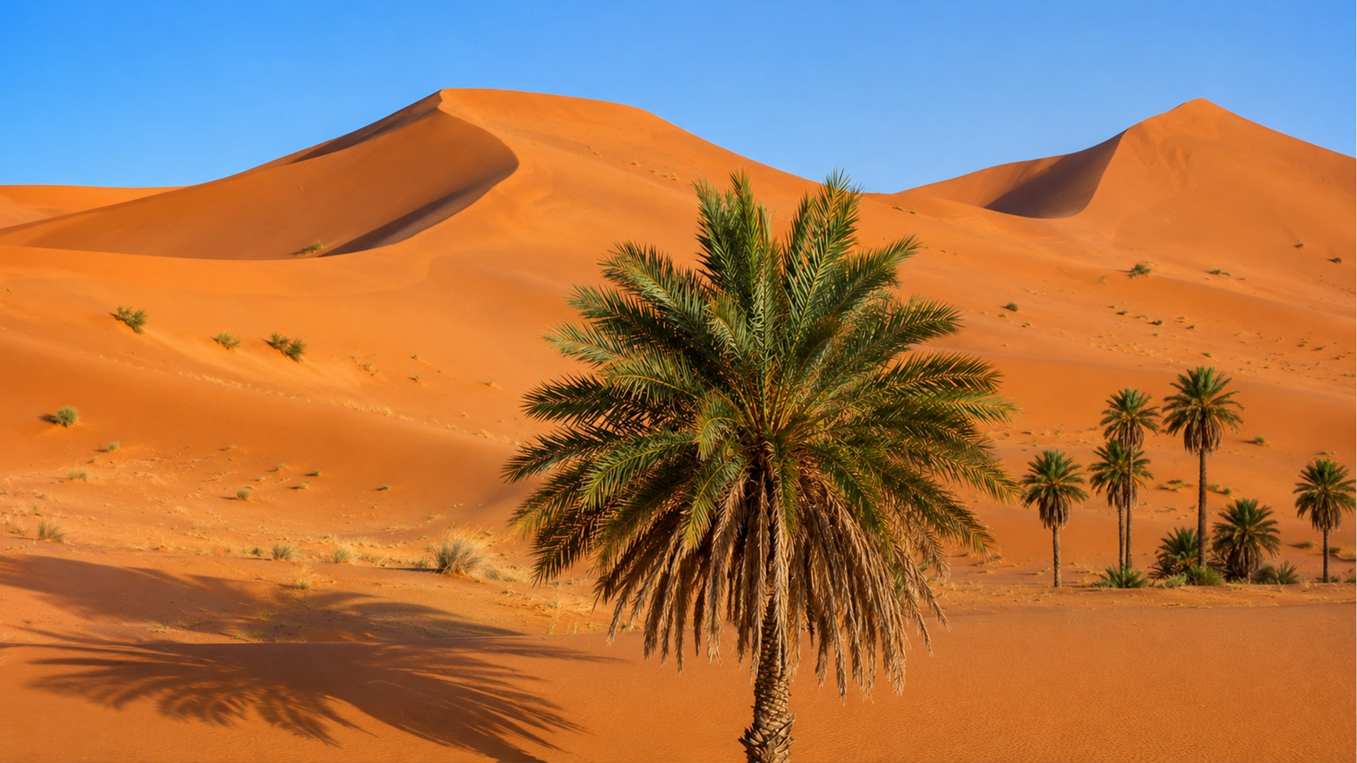 Séjour dans le désert à Taghit